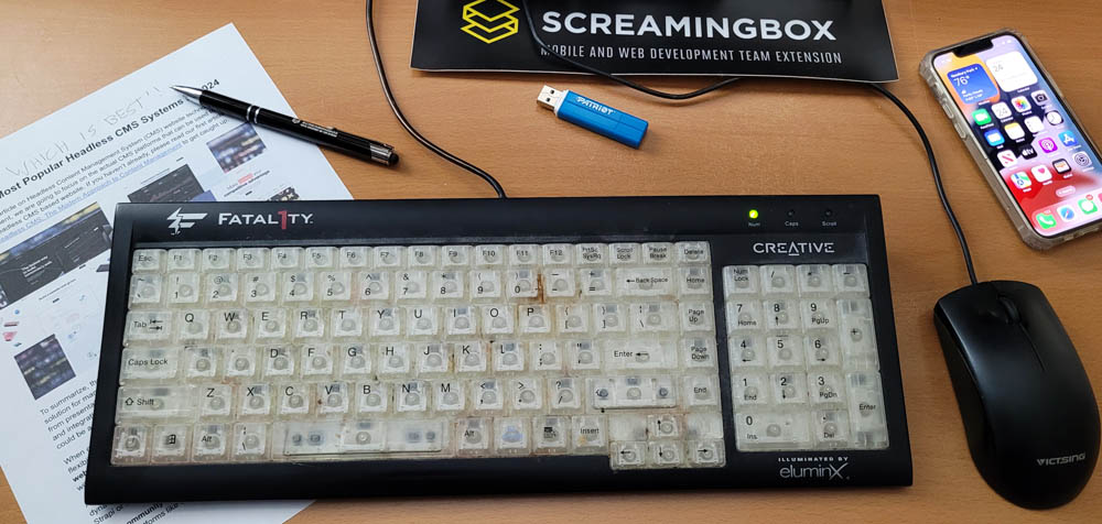 Article illustration for 7 Of The Most Popular Headless CMS Systems in 2024