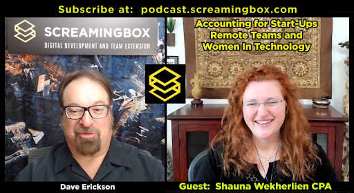 Article illustration for Interview Series - The Tax Goddess: Shauna Wekherlien, CPA 